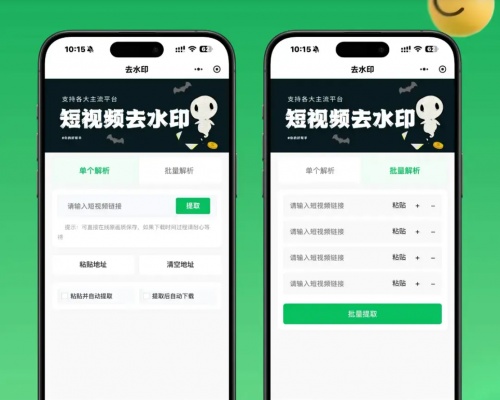 2026新版去水印小程序源码 v1.6.5 带流量主