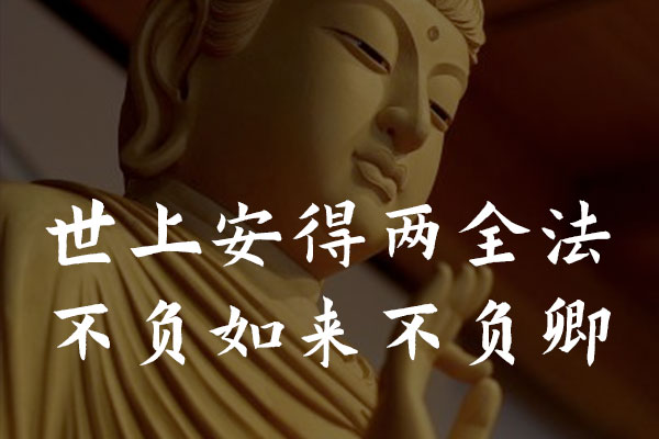 演示秋鸿楷效果预览